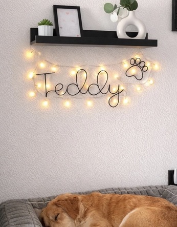 dog sign with paw print displayed on a wall in a room 